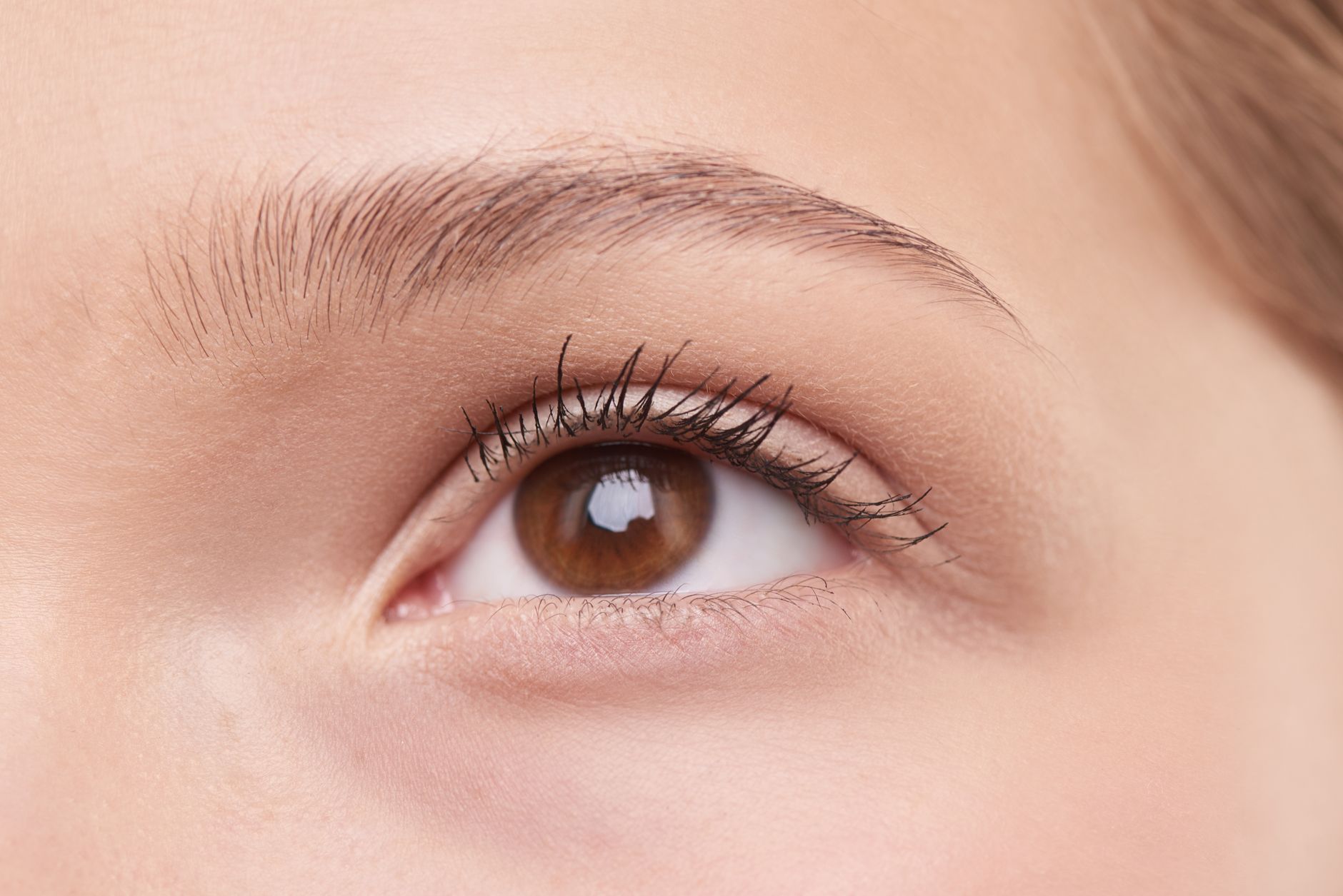 Brow tint result